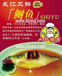 长江三鲜鲥鱼封面设计PSD素材