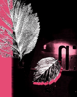 韩国时尚树叶花纹