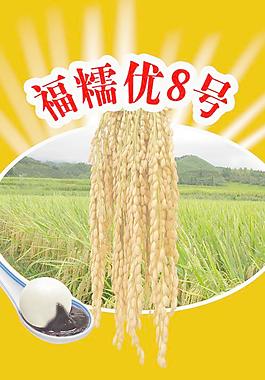 糯米包装 水稻包装图片