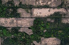 底纹 底纹素材 背景图片