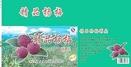 杨梅包装图片