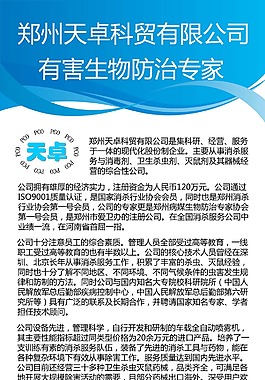 公司信息海报