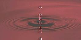 水滴素材图片