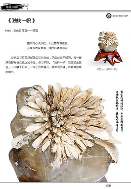 菊花石艺术品图片_菊花石艺术品素材_菊花石艺术品模板免费下载-六图网