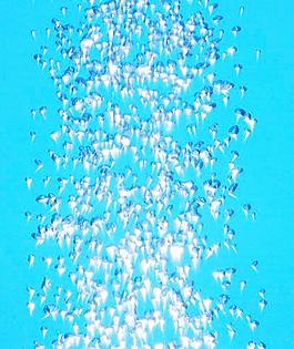 水珠水花水滴图片