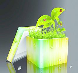 绿叶图片
