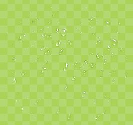 绿色 水珠 方格图片