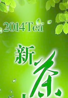 新茶上市图片
