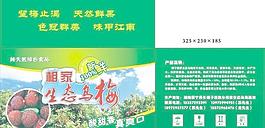 杨梅包装箱图片