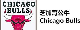 芝加哥公牛 chicago bulls图片