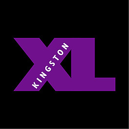 XL金士顿