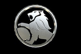 霍尔登象征