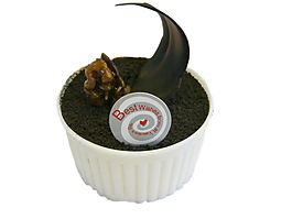 巧克力起司蛋糕