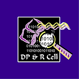 DP细胞