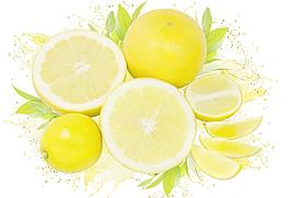 新鲜水果高清楚图片