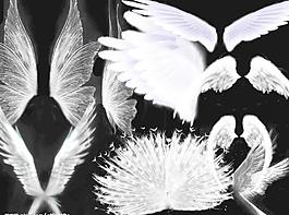 儿童相片加翅膀psd图片