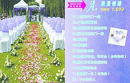 婚礼节目单图片