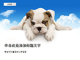 小狗ppt模板