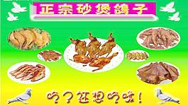 鸽子图片