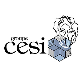 CESI集团