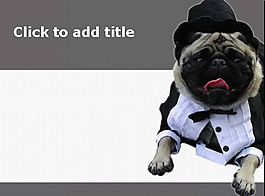 可爱狗狗PPT模板