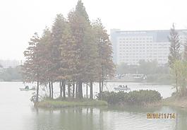 水中绿舟图片