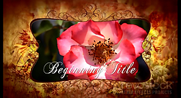 多彩flv展示视频