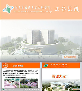 工作报告ppt模板