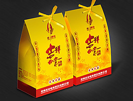 高档礼盒包装设计矢量素材