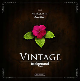 古典花朵背景矢量素材