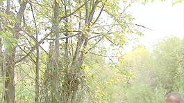 夫妇在桥上的3股的录像