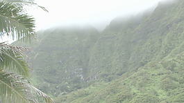 夏威夷绿山股票视频 视频免费下载