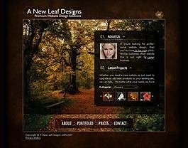 森林风景网页模板源文件