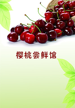 绿色樱桃名片