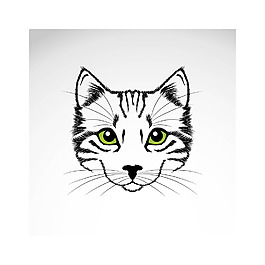 可爱的猫咪头像