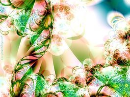 华丽花纹背景