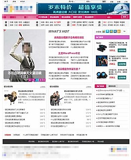 小型门户wordpress粉色主题