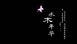 漂亮蝴蝶女性风格PPT模板