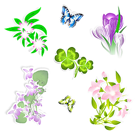 不同的花与蝴蝶矢量