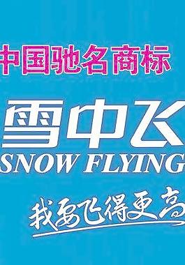 雪中飞字母商标图片