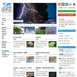 自然志wordpress主题