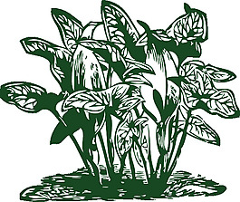 热带植物剪贴画