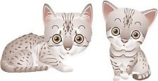 猫60向量