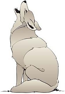 福克斯4
