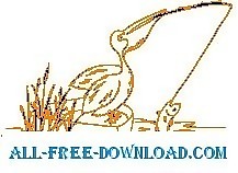 鹈鹕捕鱼4