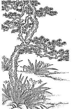 载体的中国古典绘画材料- 4