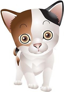 猫67向量