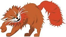猫33向量