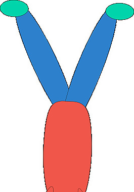 男孩的手站剪贴画