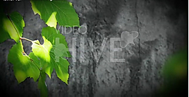 AE模板素材源文件